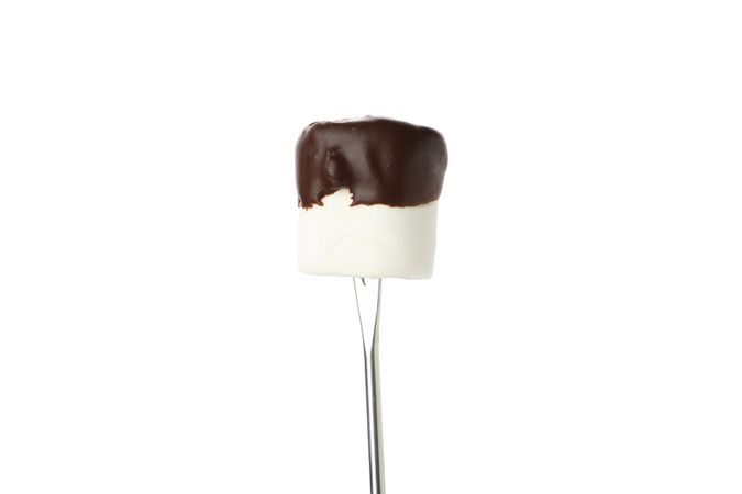Marshmallow in chocolate isolated on blank background