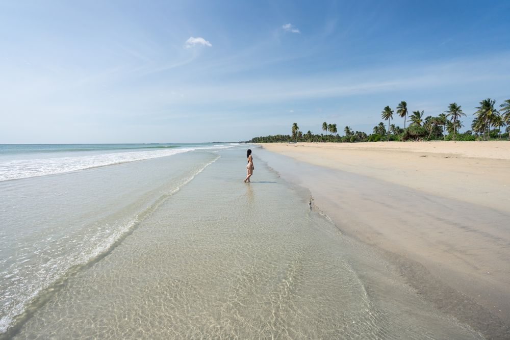Young woman in water on sand beach with tropical forest
