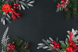 Holiday branches bordering dark background