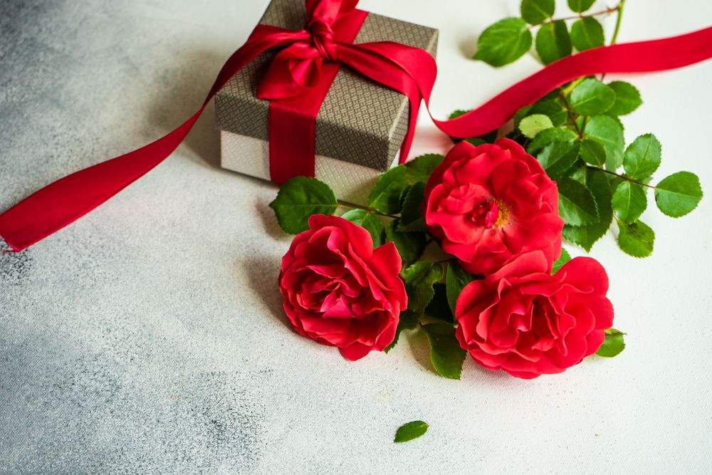 Red roses with gift box