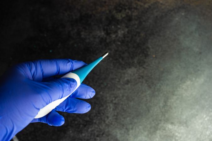 Top view of hands wearing purple latex gloves holding a digital thermometer