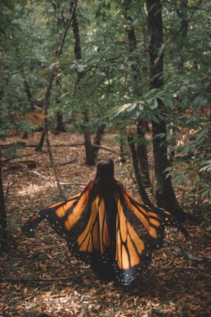 Woman in butterfly costume in forest