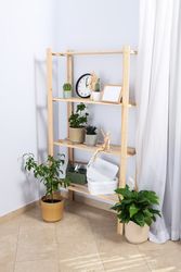 Cozy hobby - growing indoor plants at home
