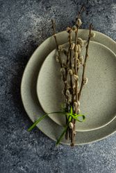 Easter card concept with pussy willow on ceramic grey plates on counter