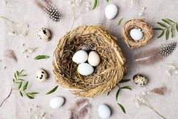 Top view of birds nest with eggs on beige fabric
