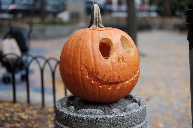 Pumpkin on gray concrete round table outdoor in New York city