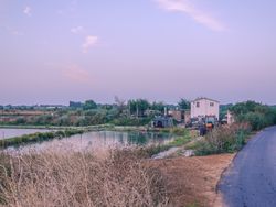 The Cabin on the route of Marais de Bergapson La tour des prises, Ile de Re, France