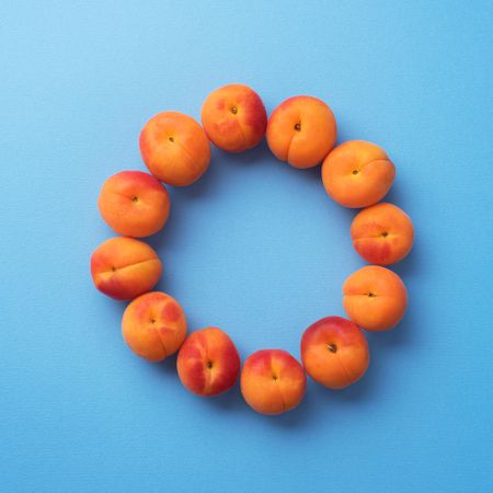 Apricots make a circle shape on blue background