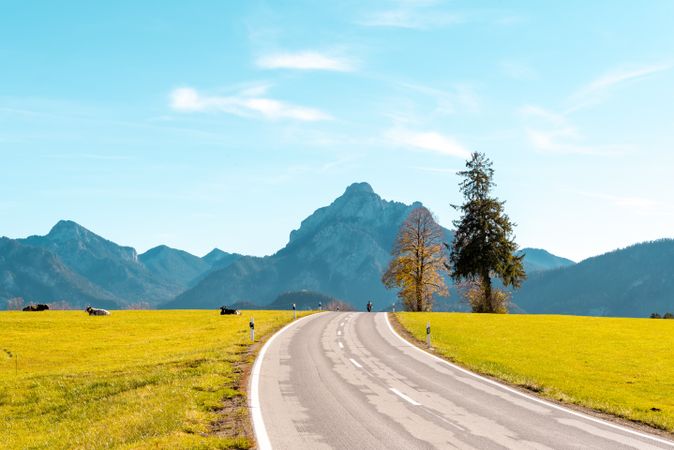 Bavarian Alps landscape with road passing through a green meadow, mountain peaks in background