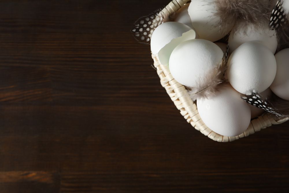 Concept of fresh and natural farm product - eggs, space for text