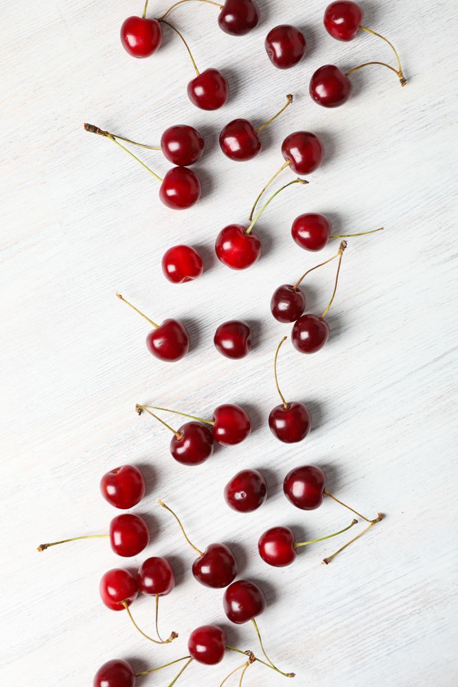 Concept of fresh summer food - delicious cherry
