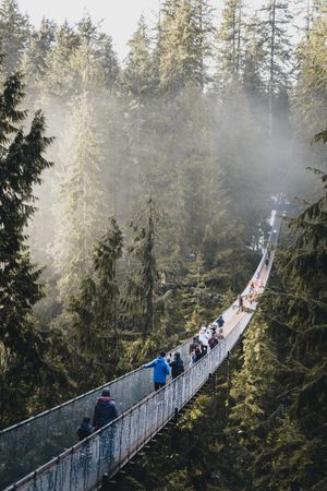 People walking on hanging bridge over river between trees