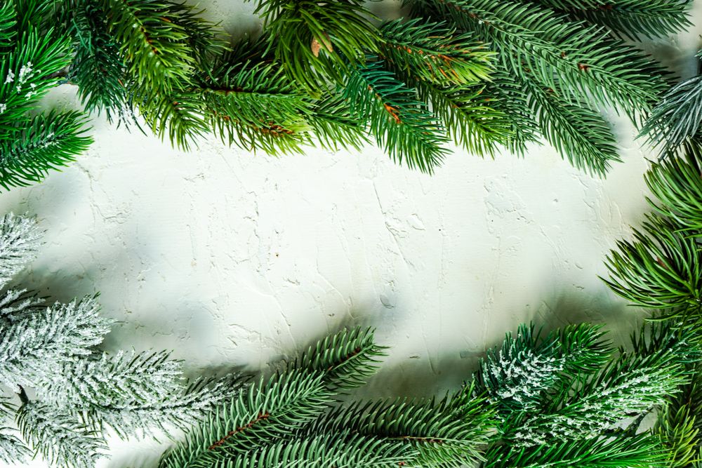 Green Christmas branch with copy space in center