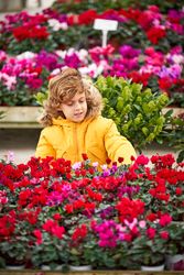 Cute boy viewing vivid flowers in pots in botanical garden