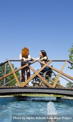 Woman in a wheelchair and female friend on bridge, vertical 5RGyr4