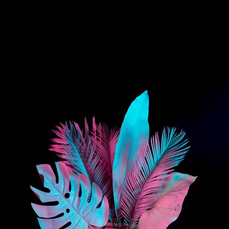 Tropical palm leaves in vibrant bold gradient blue and pink holographic neon colors