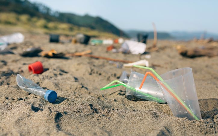 Dirty beach landscape full of waste