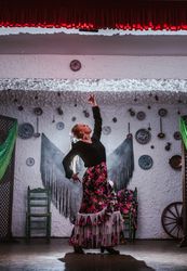 Woman dancer in flamenco costume standing in dance posture