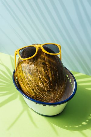 Melon with fun sunglasses