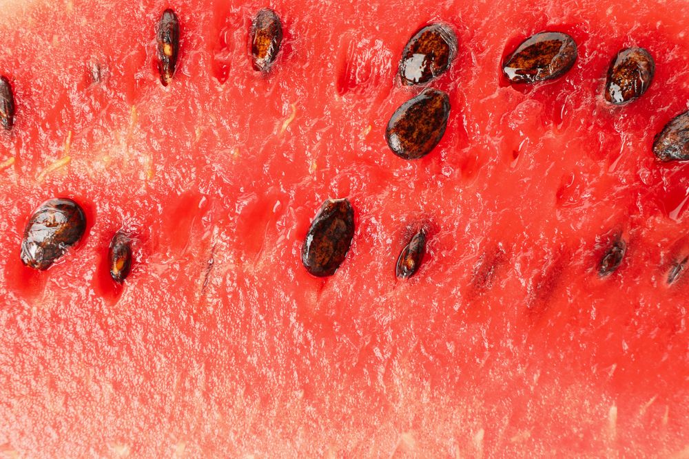 Fresh watermelon on whole background, close up. Summer fruit