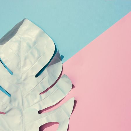 Tropical leaf on pastel pink and blue background