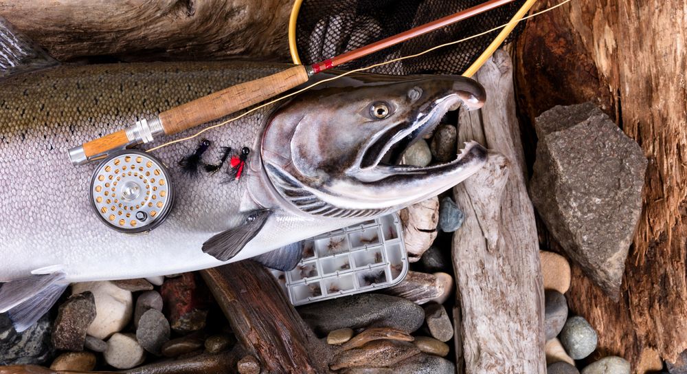 Vintage fly fishing equipment and trophy fish