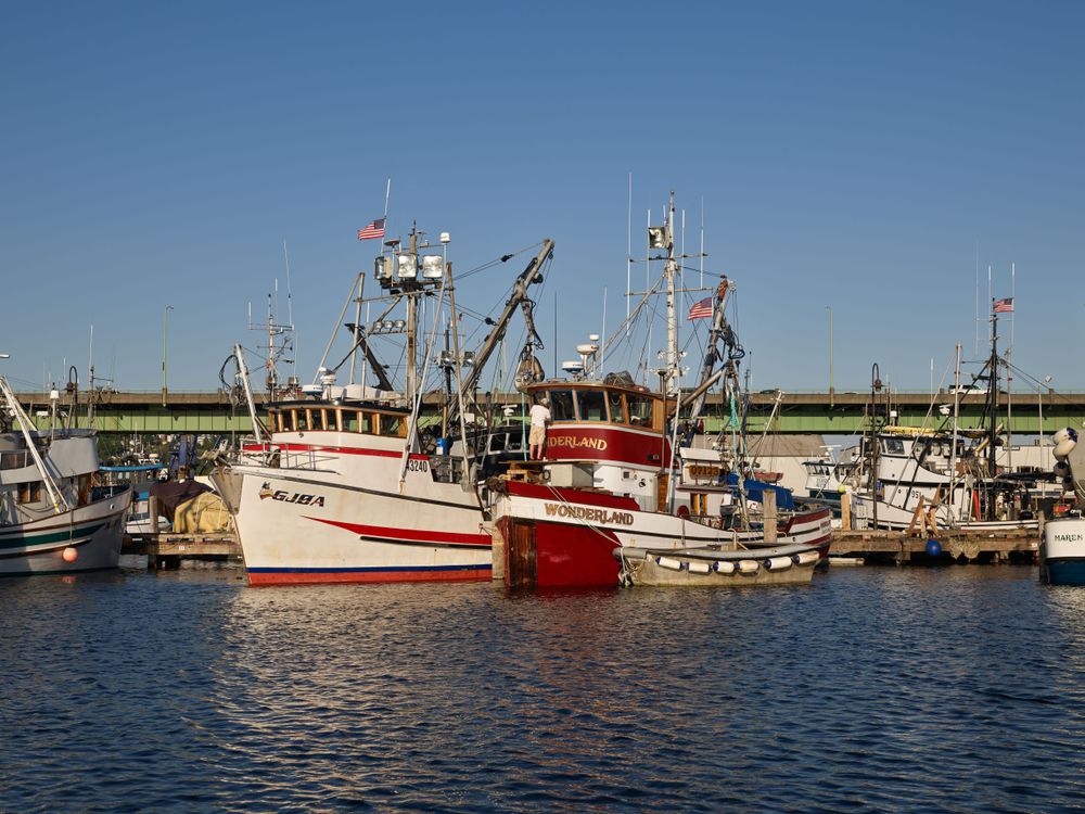 Boats at the Fishermen's Terminal docks in Seattle, Washington