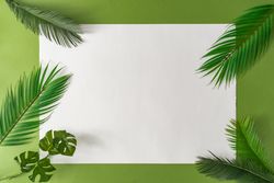 Tropical palm leaves on green background with light  paper card