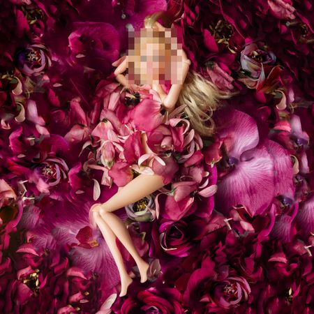 Blonde doll with face pixelated on a bed of pink and violet flowers and petals