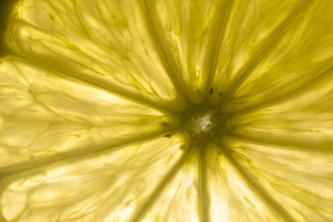 Sliced citrus fruits against light
