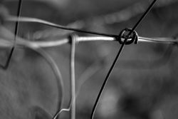 Tense barbed wire