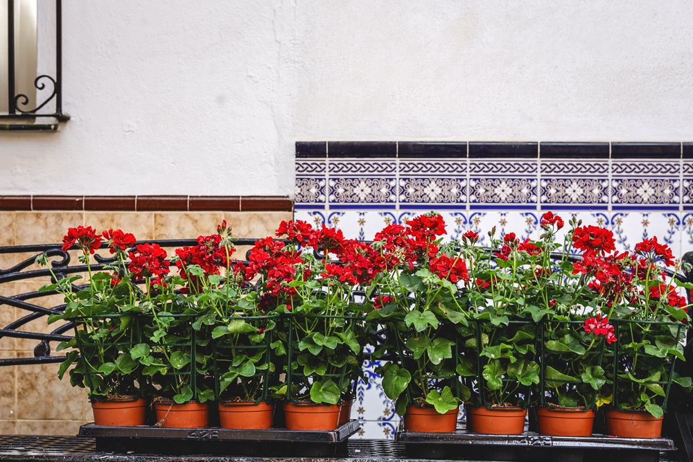 Typical Andalusian Spanish villages
