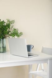 Laptop, vase with plant and coffee on light table