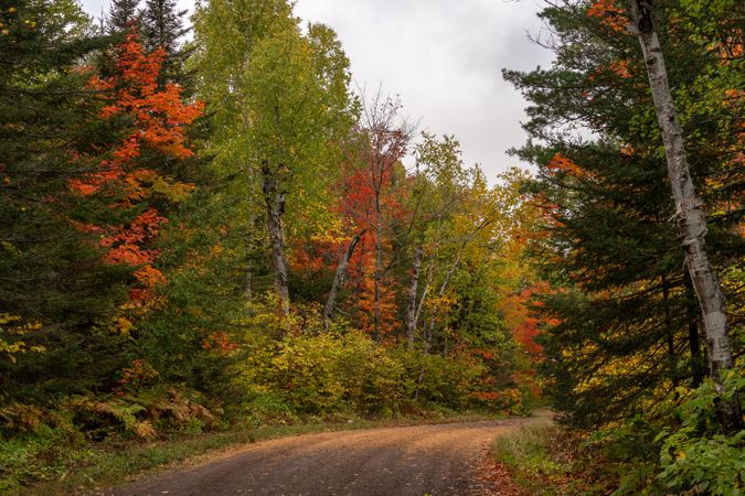 Quiet road in the fall