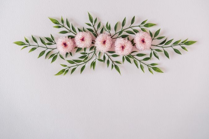 Pastel pink daisy flowers and leaves