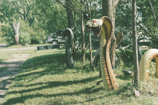 Huge snakes for halloween decorations