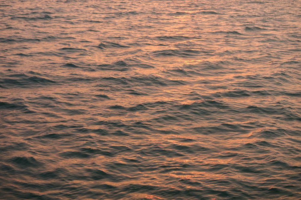 sun-drenched sea