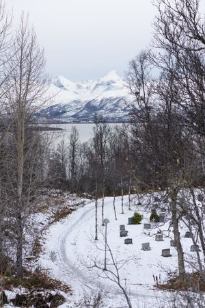 Winter graveyard in quiet overcast weather