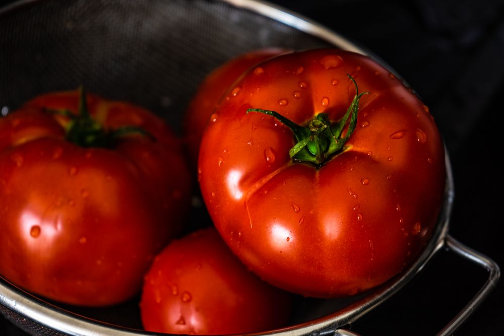 Organic ripe heirloom tomatoes being washed in bowl