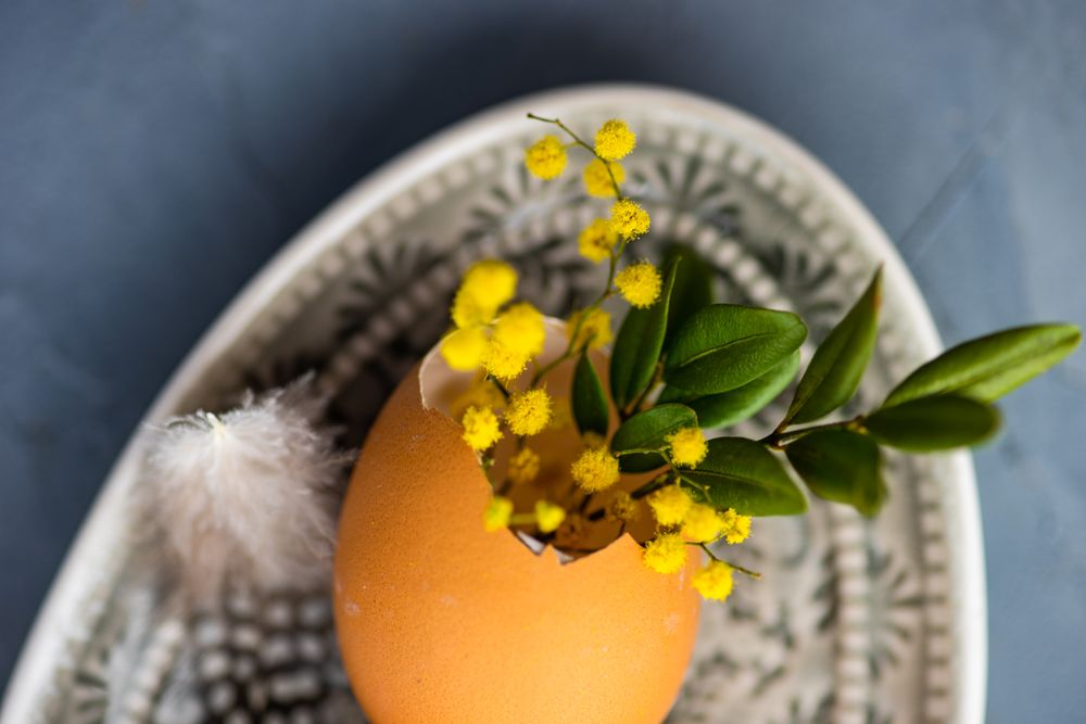 Close up of decorative egg shell with foliage on patterned plate