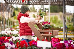 Boy putting potted flower on wooden stand in garden center