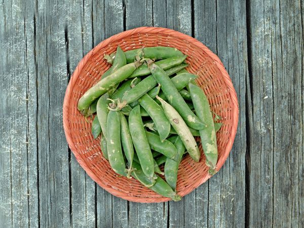Green Peas On The Wooden Background