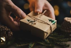 Eco friendly Christmas gift in hands