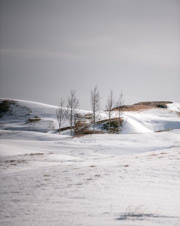 Snowy mountains covering with the fog