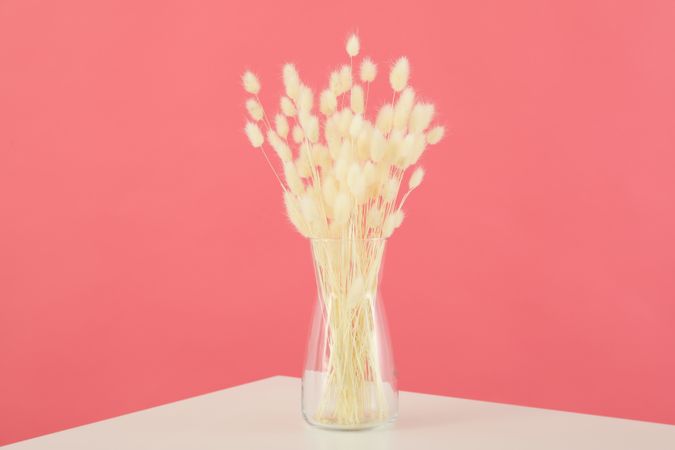 Dried flowers in glass vase on table against pink wall
