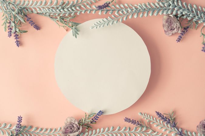 Creative layout made with spring flowers and leaves on pastel pink background