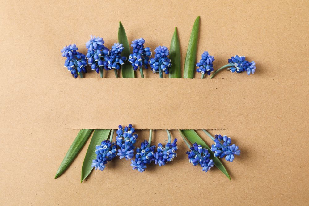 Beautiful hyacinths on craft background, space for text