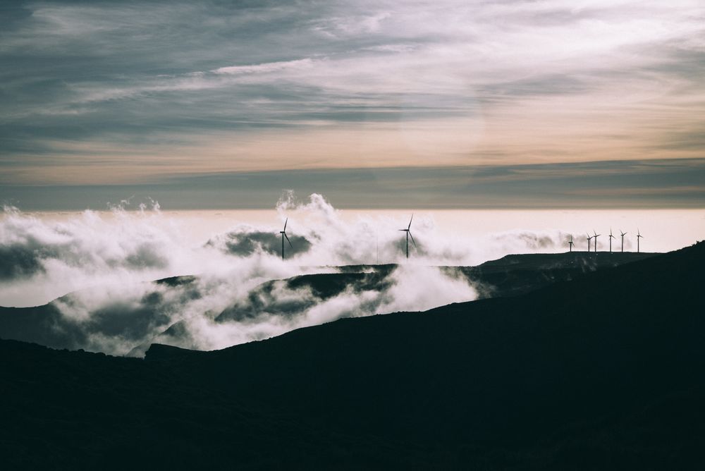 Shoreline with wind turbines