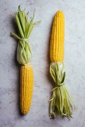 Phases of fresh corn peeling