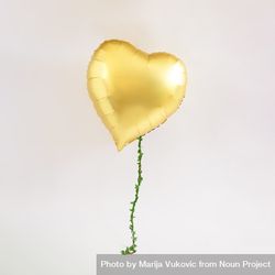 Heart balloon in the air with vine coming down from it 4BoY3b